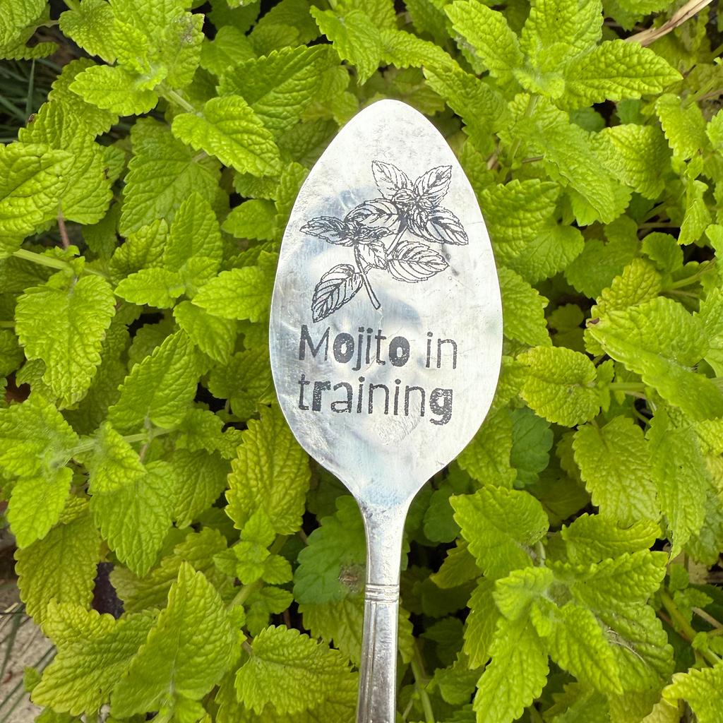 Funny Plant Labels - Vintage Spoon Garden Markers for Whimsical Gardening - KB Studios