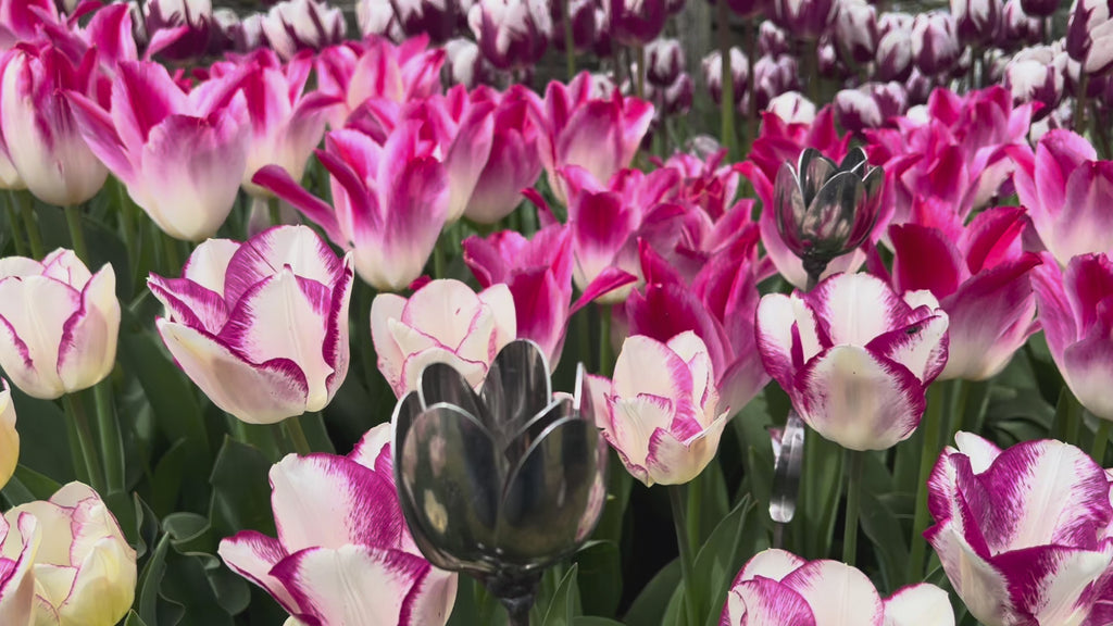 Tulip Art: Handcrafted Garden Stakes from Repurposed Spoons